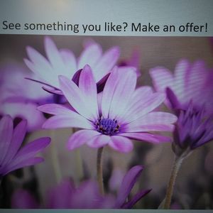 See something you like? Make an offer! Bundle for a discount.